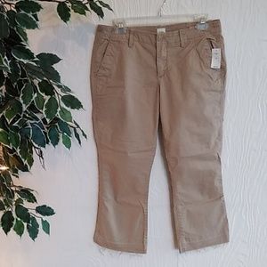 3/15 NWT! GAP khaki crop kick capris